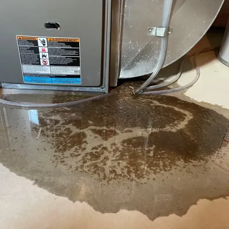 Appliance Leak Cleanup in Gail, TX